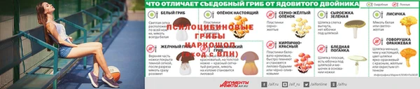 стаф Нея