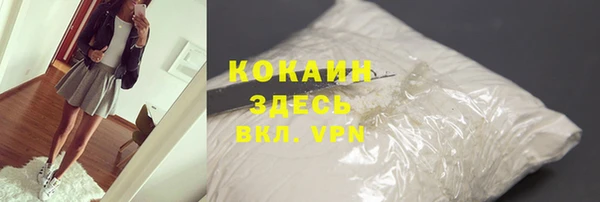 стаф Нея