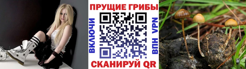 Купить закладки  Арамиль  Галлюциногенные грибы мицелий 