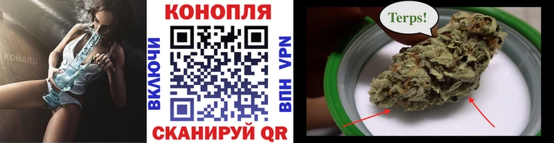 Купить где  Арамиль  Бошки Шишки семена 
